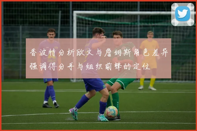 香波特分析欧文与詹姆斯角色差异强调得分手与组织前锋的定位